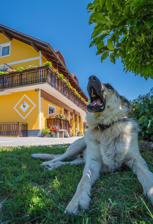 Panorama B&B プトゥイ エクステリア 写真
